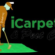 iCarpet clean and pest control