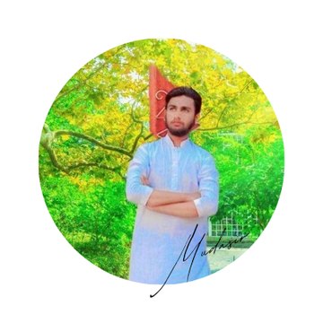 Muhammamd Mudasir