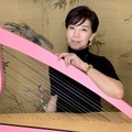 Harp Harper Harpist