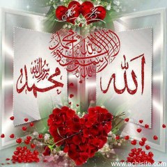 Muhammad Nazir Nazir