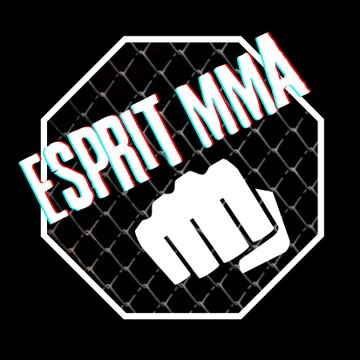 Esprit_MMA
