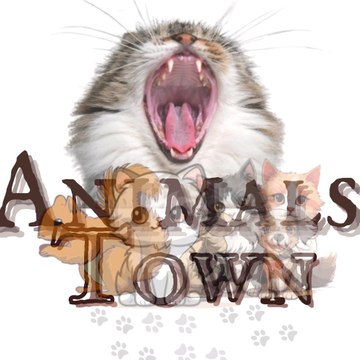 Funny Animals Town