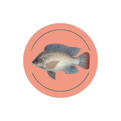 Fish Cutting tutorial