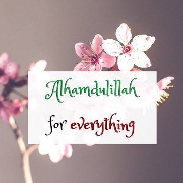 jameelahmed242427