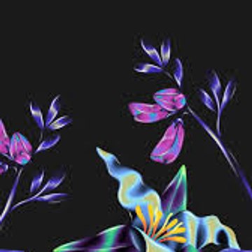ASMR Satisfying