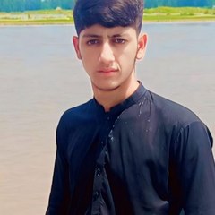 Muhammad Ali khan