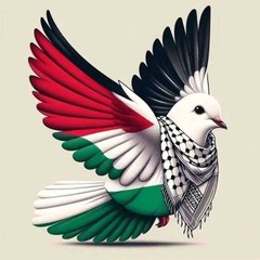 ameerhamzah396