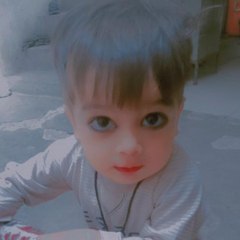 Shahzad M