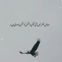 Hamad Sheikh