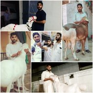 Mini Zoo With Saboor