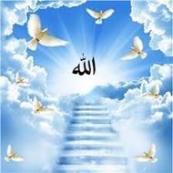 Islamic vdos and photos