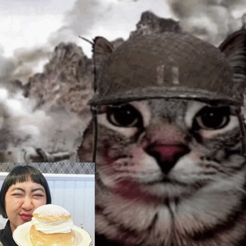 silverlikessemlas