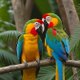My Friends in Nature