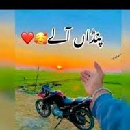 پنڈا۔۔آلے#