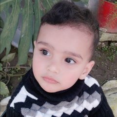 Fakhra Kanwal offical