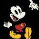 WaltDisneyClassicCartoons