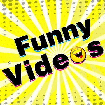 funny video 560