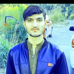 M Riza Naqvi