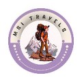 Travel with MSI
