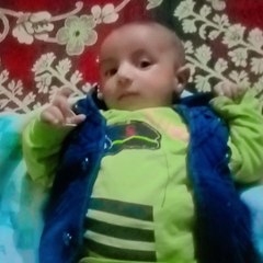 Jaffer Hussain G