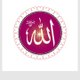 @saeedamani Official