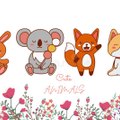 Funny Caton