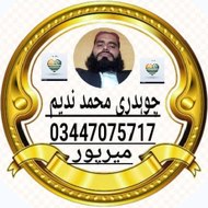 mn Entertainment.jutt