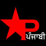 Star Punjabi