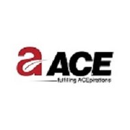 ACE Group India