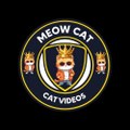 Meow Cat
