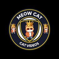 Meow Cat