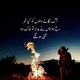 Wonderful Miracles