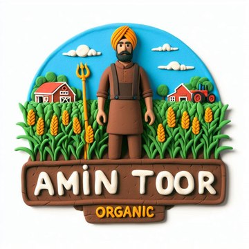 Amin Toor