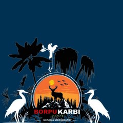 Borpukarbi