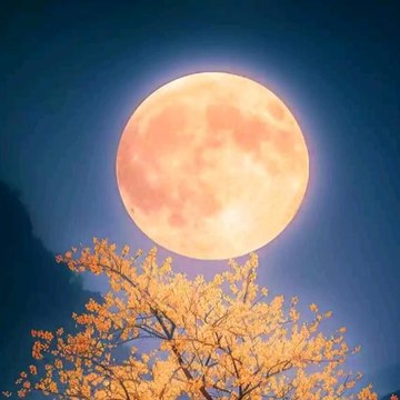 Secrets of the World