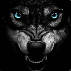 Black_Wolf