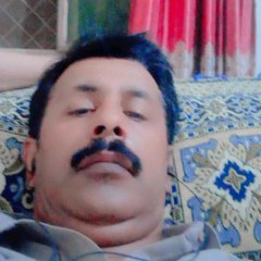 Shafique Warraich