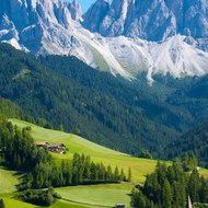 Nature & Animals Lover