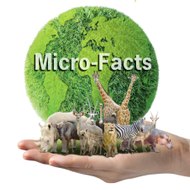 Microfacts