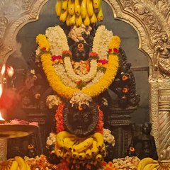 Sanil Dinesh