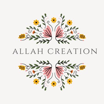 creation of Allah