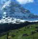 Kashmir meri jaan