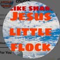 jesus little flock