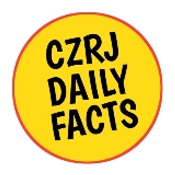 czrj daily facts