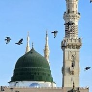 نوکر پنجتن پاک کا