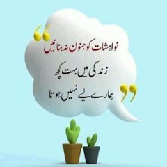 Poetry & videos