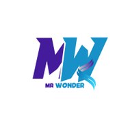 Mr Wonder