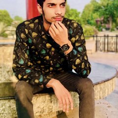 Ch Faizan Hanif