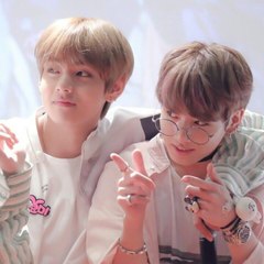 BTS X ERLISH