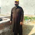 Panjabi.song.stetus